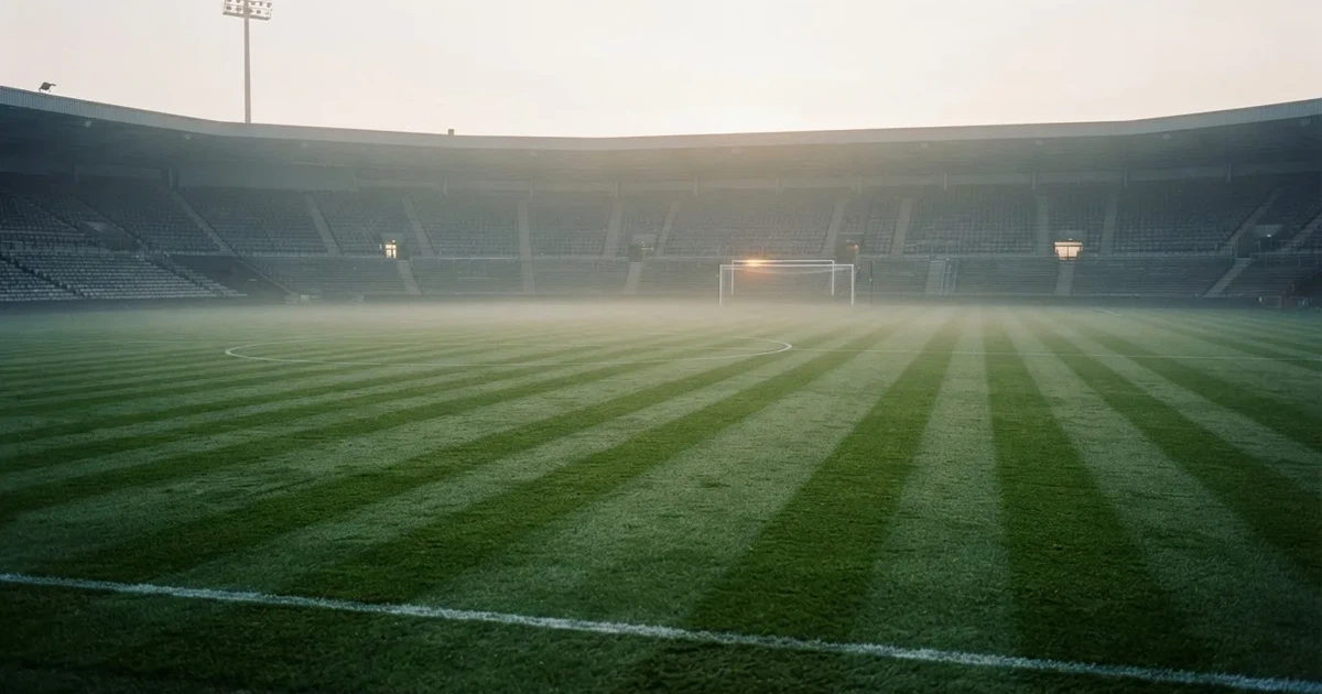 Ein Fußballplatz mit gepflegtem Rasen und einem Tor, über dem Spielfeld liegt Morgennebel, im Hintergrund eine leere Tribüne.
